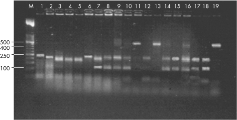 graphic file with name cp40782.f2.jpg
