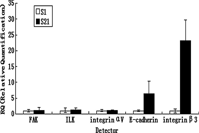 Fig. 3