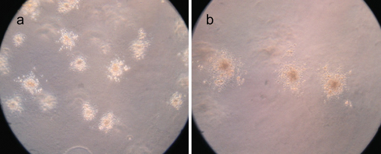 Fig. 6