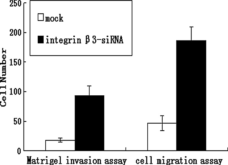Fig. 8