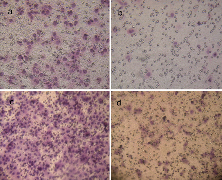 Fig. 7