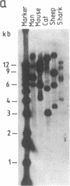 1970