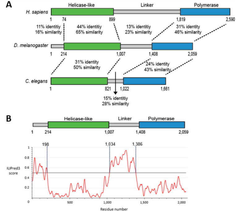 Figure 1.