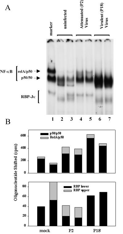 FIG. 7.