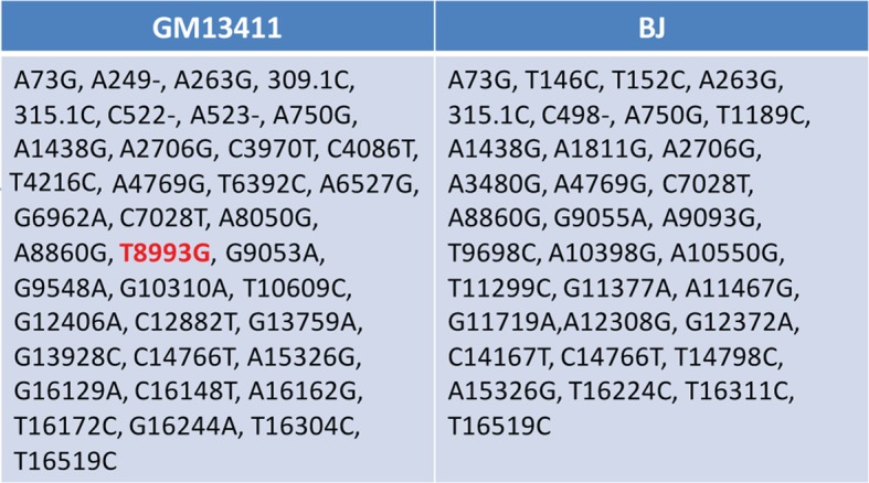 Figure 2—figure supplement 3.