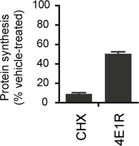Figure 1—figure supplement 1.