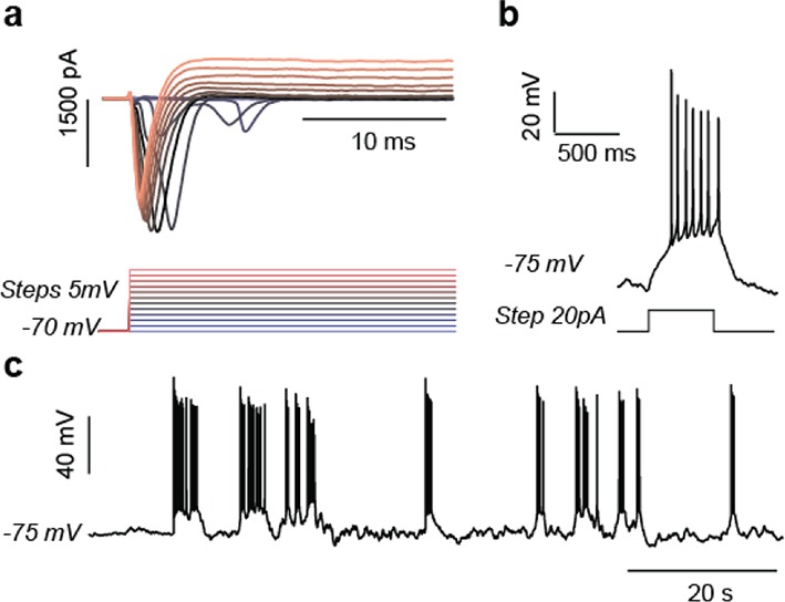Figure 2—figure supplement 8.