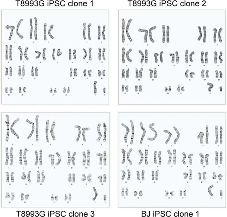 Figure 2—figure supplement 2.