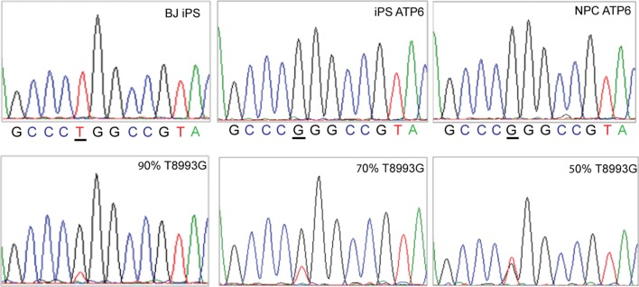 Figure 2—figure supplement 5.