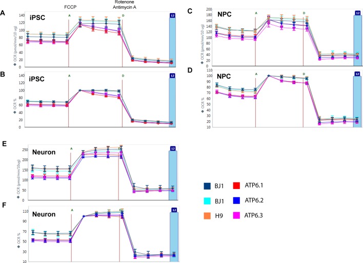 Figure 2—figure supplement 9.