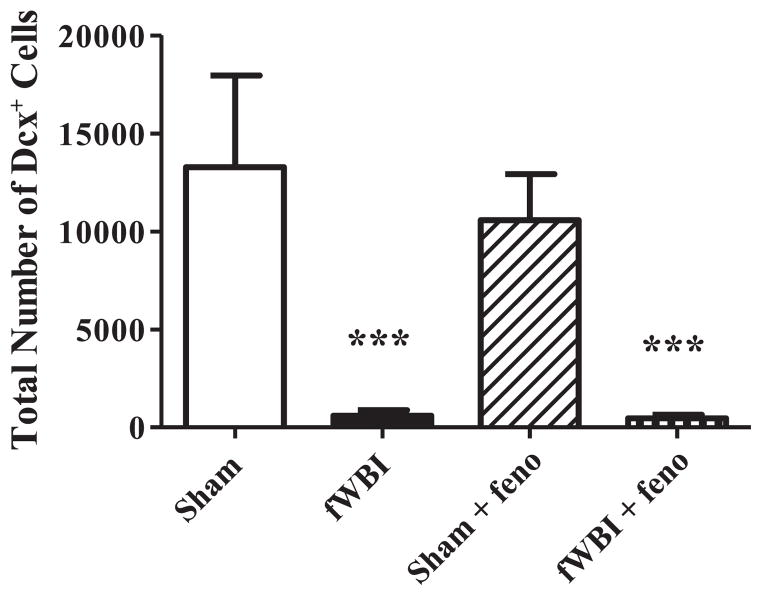 FIG. 7