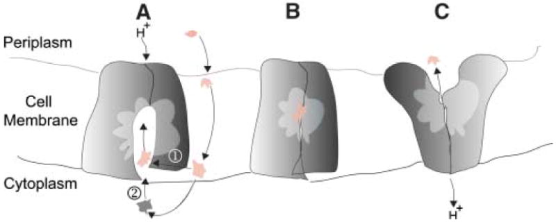 Fig. 3