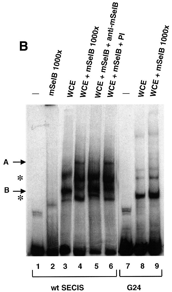 graphic file with name cdd457f7b.jpg