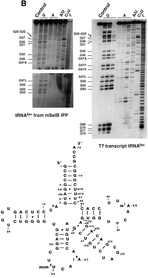 graphic file with name cdd457f5b.jpg