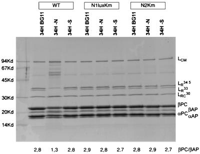 FIG. 4