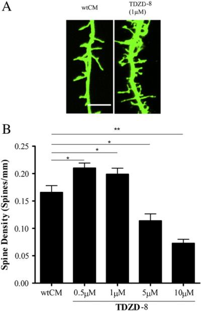 Fig. 4