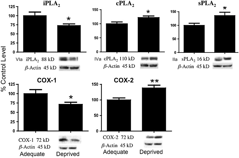 FIGURE 3 