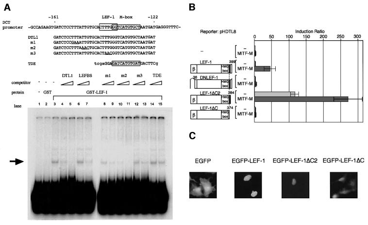 graphic file with name cdf253f3.jpg