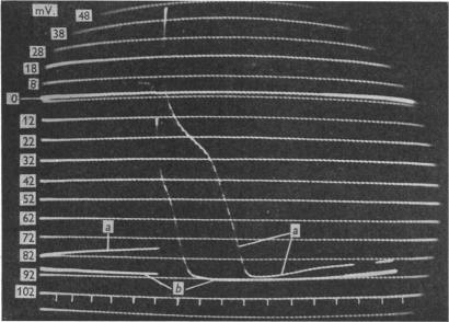 Fig. 9