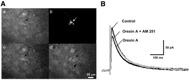 Figure 10.