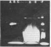 1811