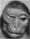 731
