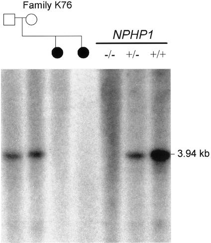Figure  2