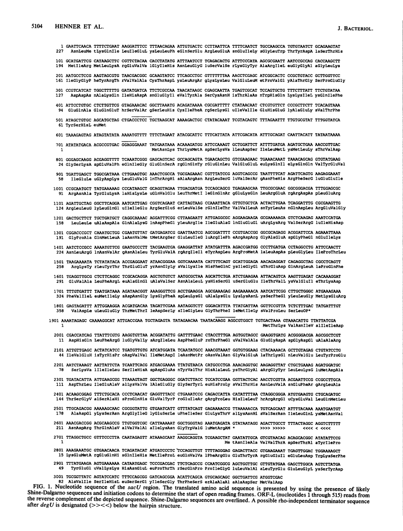 5104