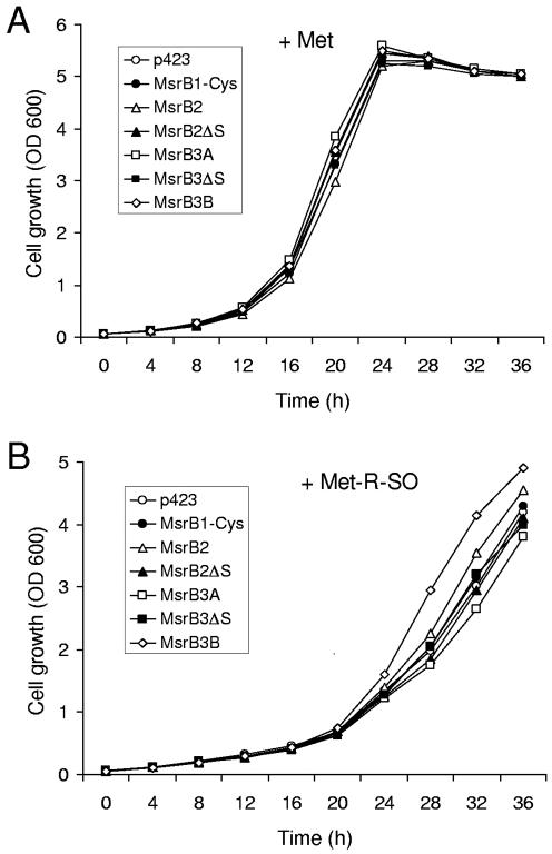 Figure 5.