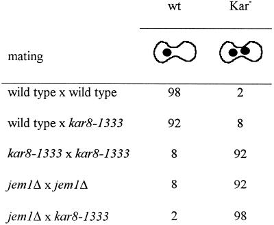 graphic file with name mk03908130t6.jpg