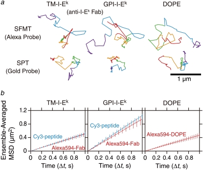FIGURE 3
