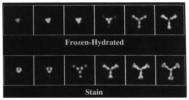 Fig. 5