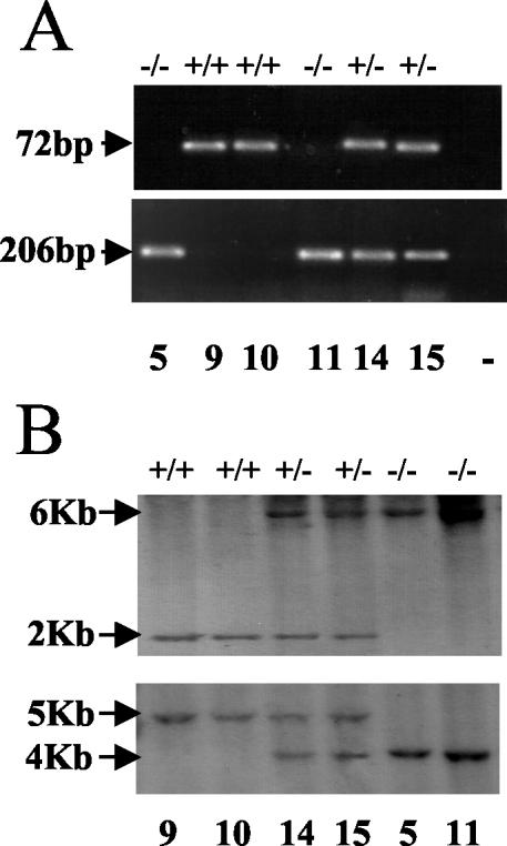 FIG. 2.