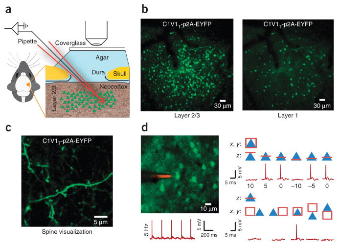 Figure 4