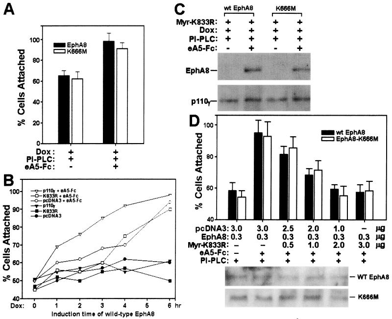 FIG. 11