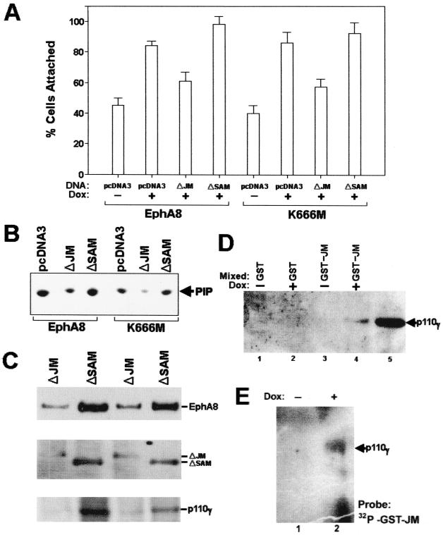 FIG. 8