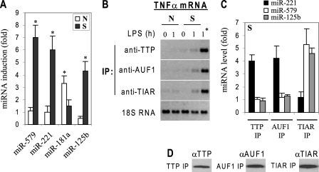 FIGURE 12.
