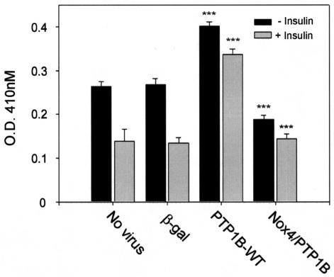 FIG. 10.