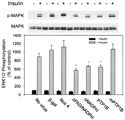 FIG. 8.