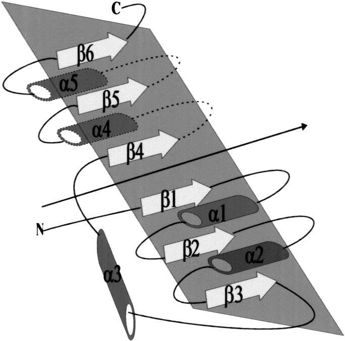 Fig. 1.