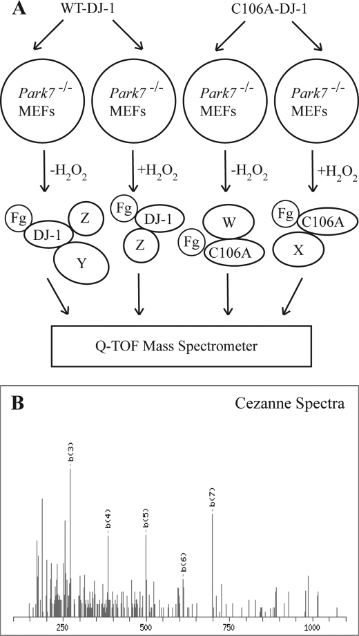 FIGURE 1.