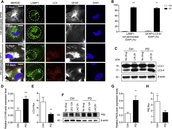 Figure 6