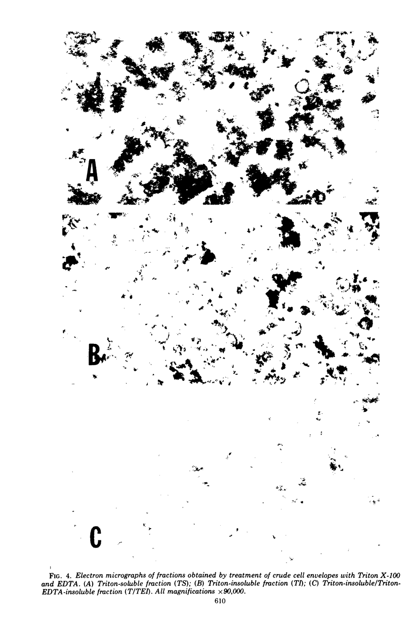 610