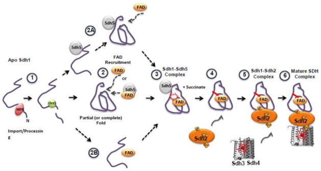 Fig 4