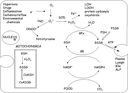 FIG. 2.