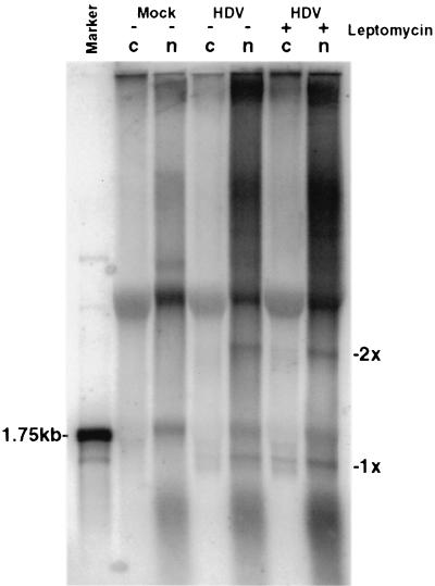 FIG. 5.