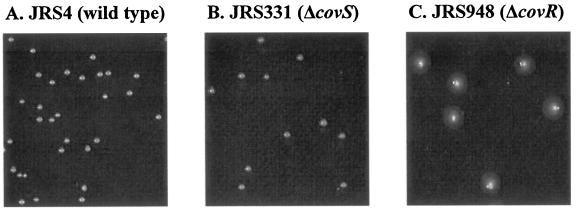 FIG. 1.