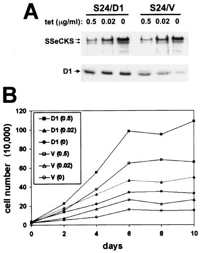 FIG. 8