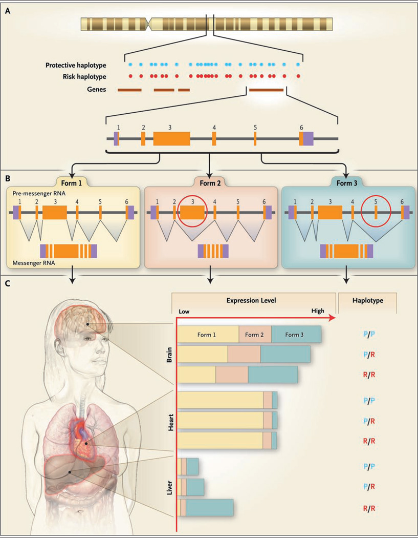Figure 2 (facing page)