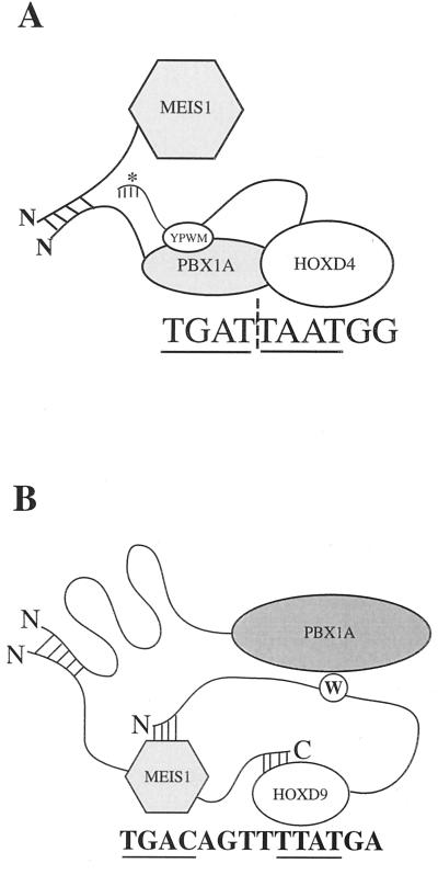 FIG. 9